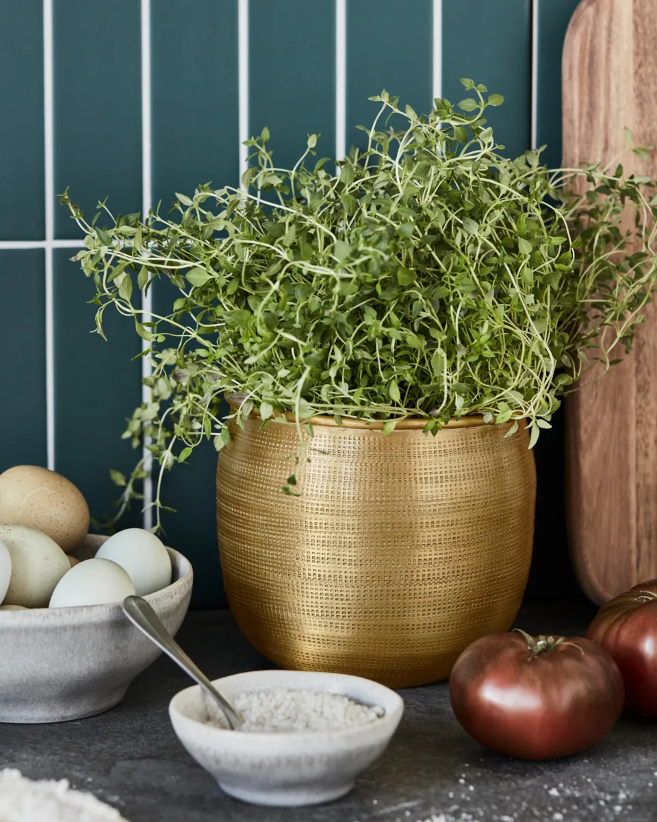 Spot kruka 2 delar, Gyllene House Doctor