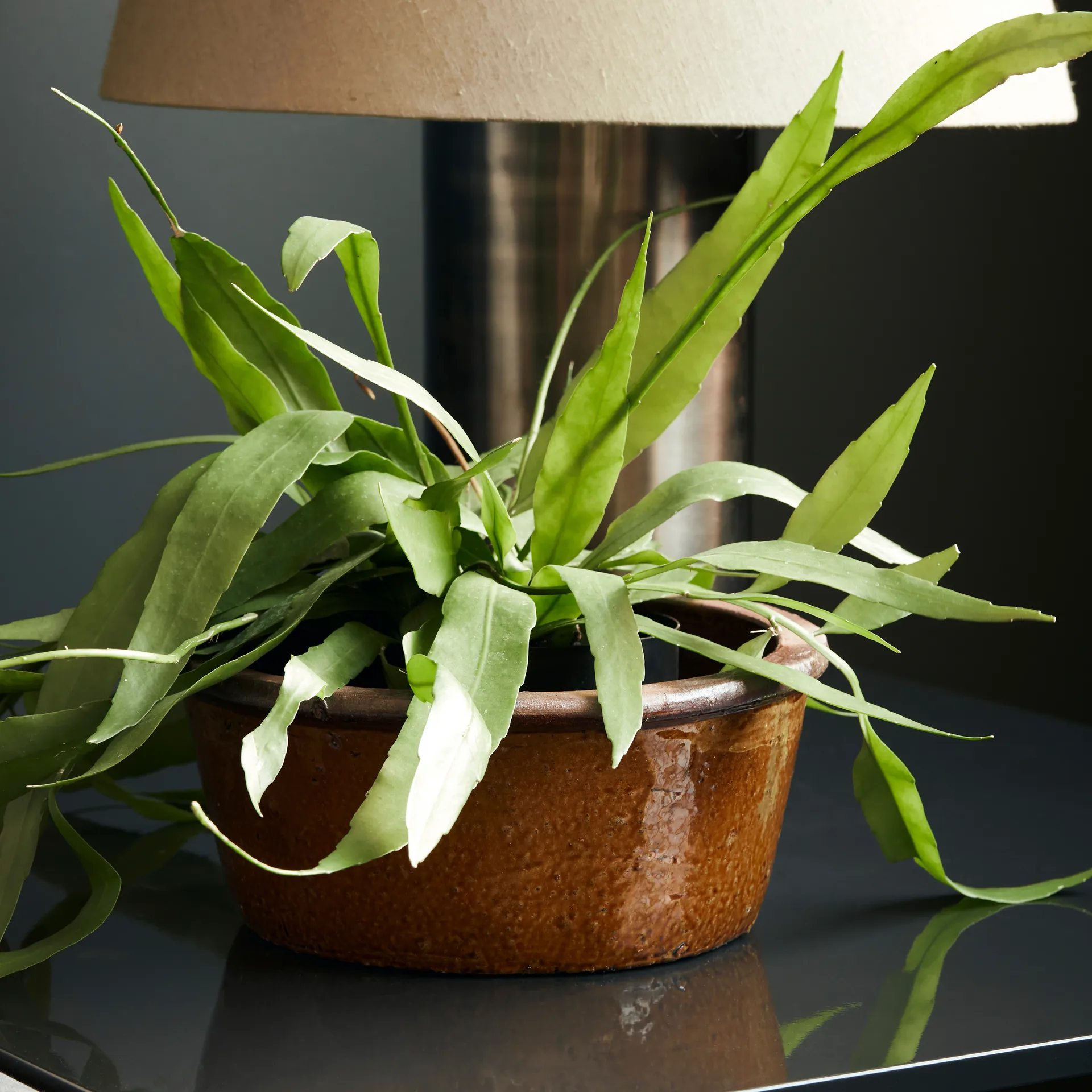 Whai kruka Ø30 cm, Senapsgul House Doctor