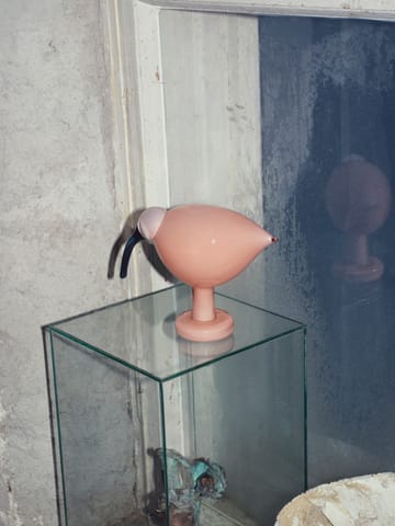 Birds by Toikka - Ibis laxrosa - Iittala