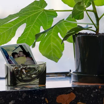 Kuru glasskål 6x13 cm - Mossgrön - Iittala