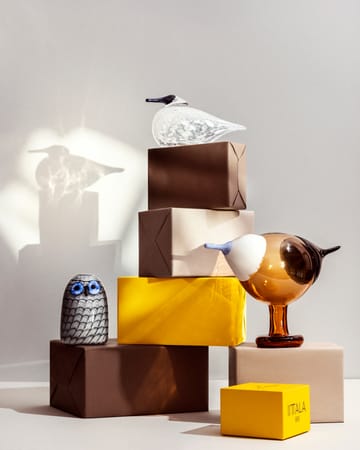 Kustskata 250x175 mm birds by toikka - Pomerans - Iittala