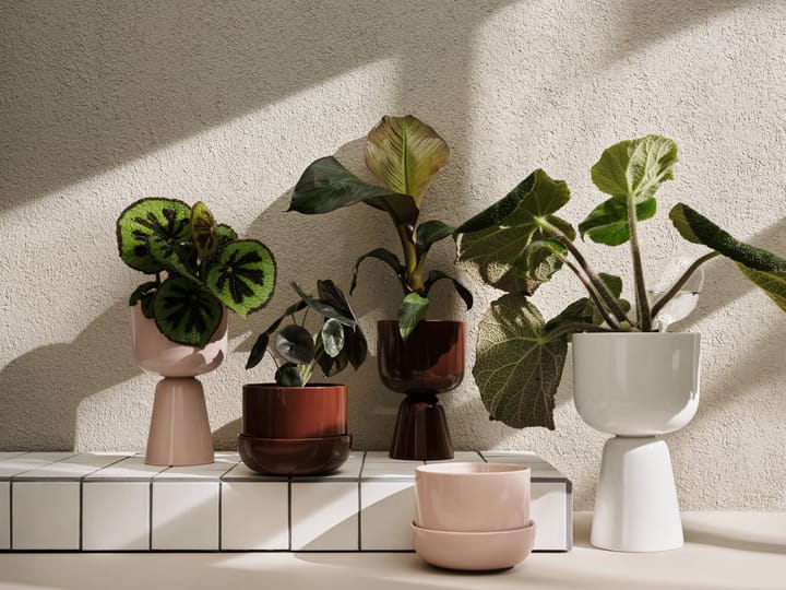 Nappula kruka Ø15,5 cm h23 cm, Brun Iittala
