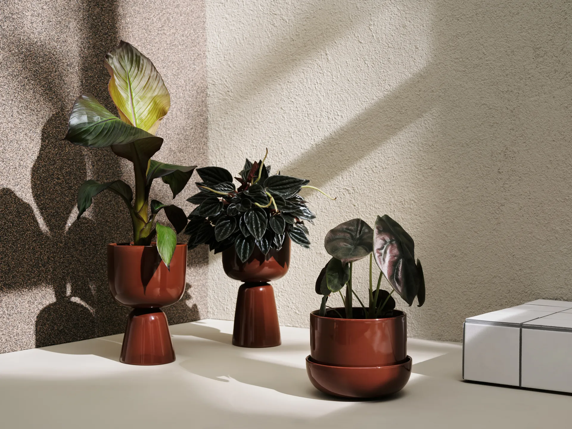 Nappula kruka Ø15,5 cm h26 cm, Brun Iittala