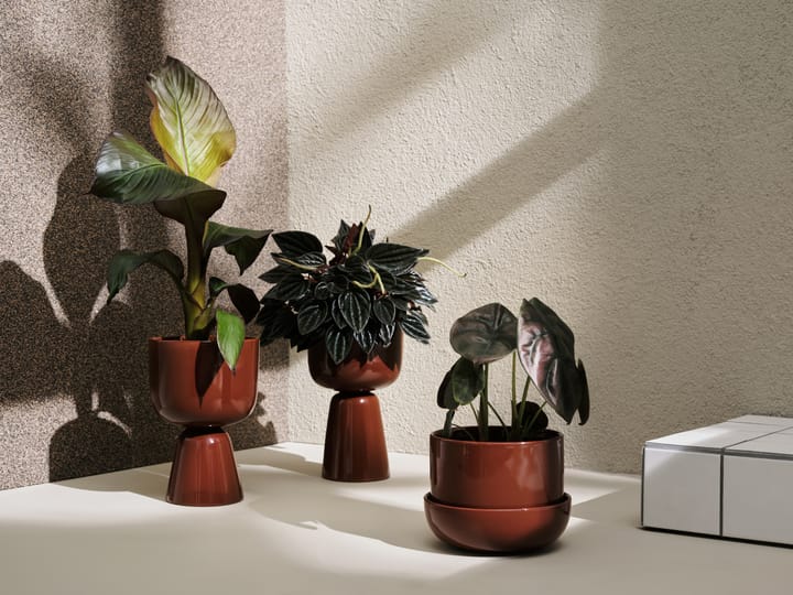 Nappula kruka med fat Ø17 cm h13 cm - Brun - Iittala