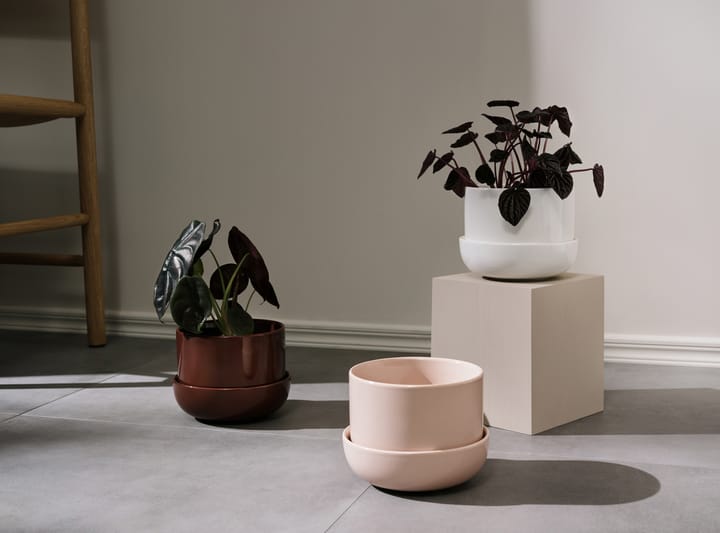 Nappula kruka med fat Ø17 cm h13 cm - Brun - Iittala