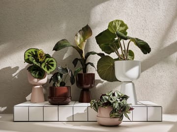Nappula kruka med fat Ø17 cm h13 cm - Brun - Iittala