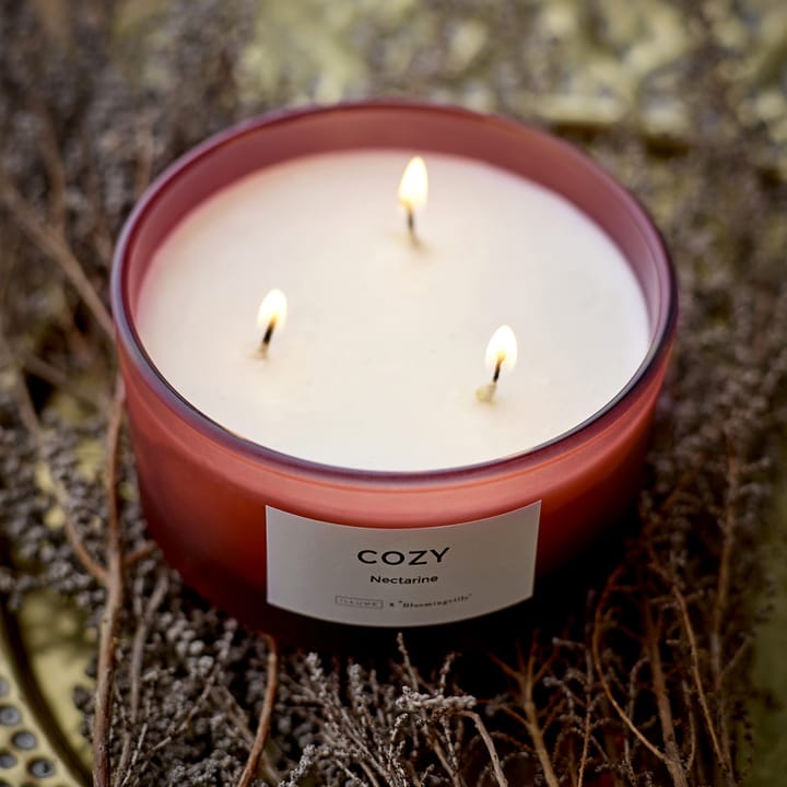 Cozy Nectarine doftljus, 250 g Illume x Bloomingville