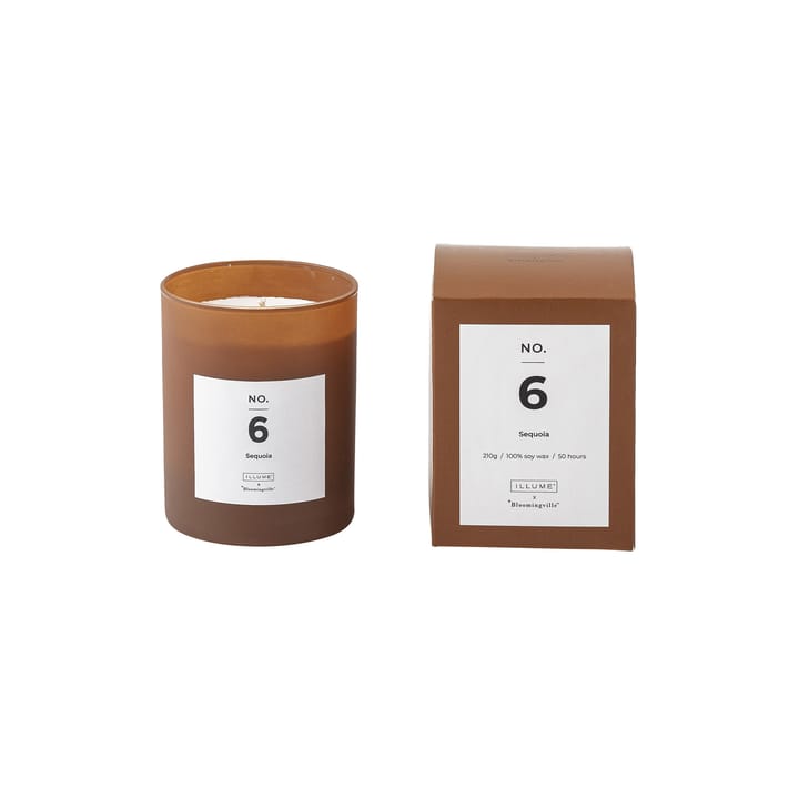 NO. 6 Sequoia doftljus - 200 g + Giftbox - Illume x Bloomingville