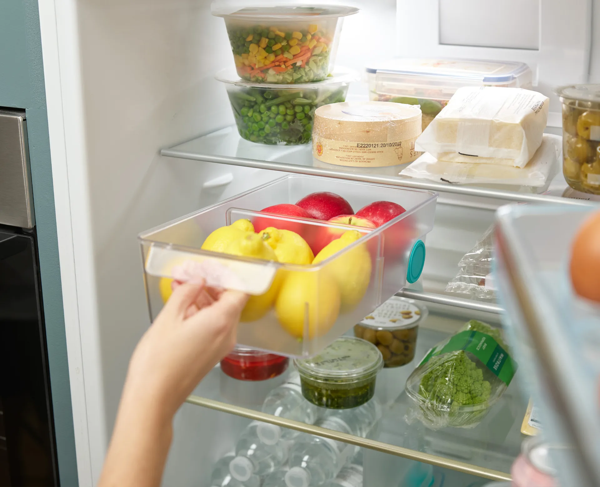 Fridgestore kylskåpsförvaring large, Transparent Joseph Joseph