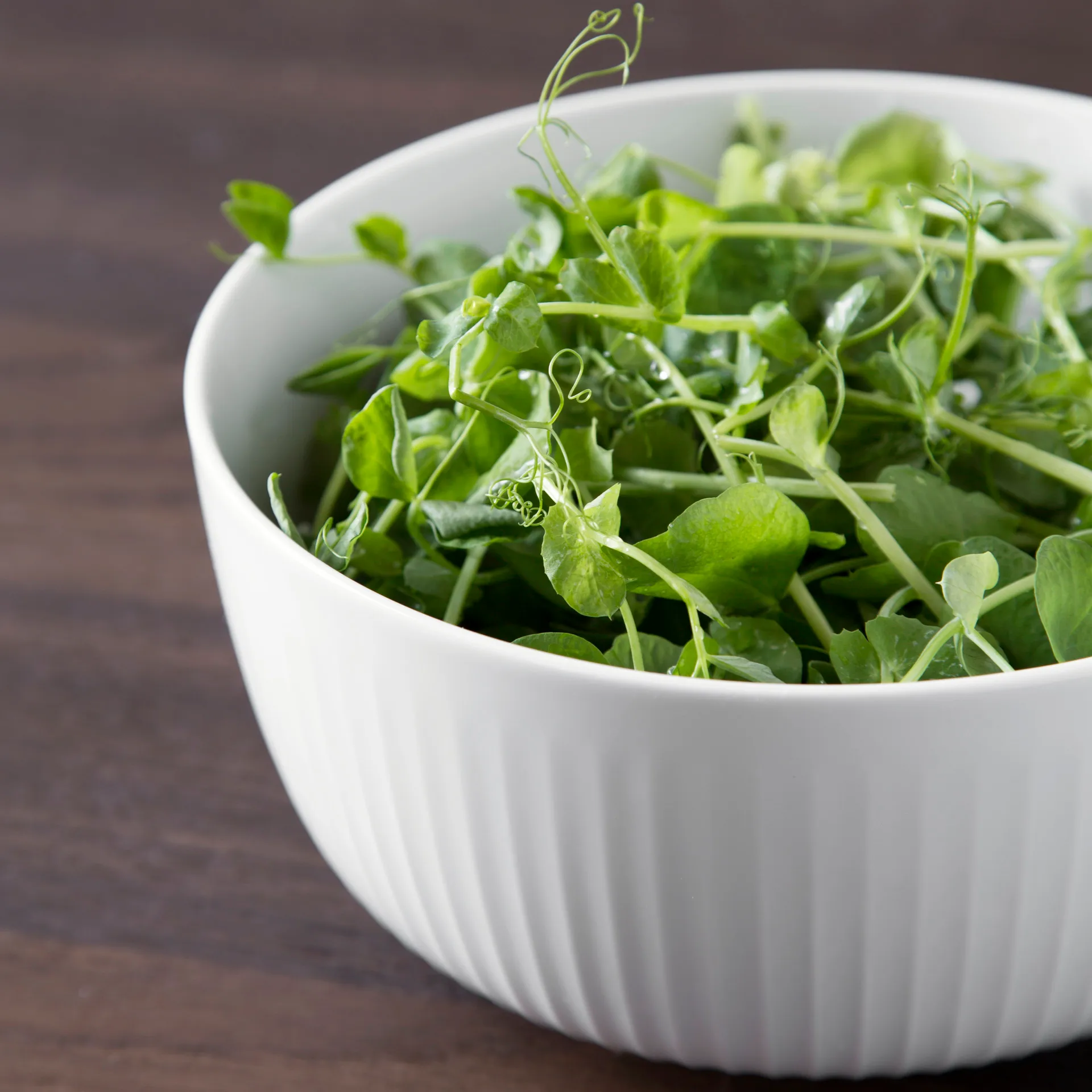 Hammershøi skål Ø21 cm, vit Kähler