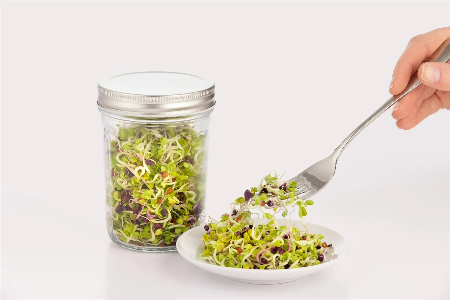 Kilner groddningsset, Klar-vit, 500 ml Kilner