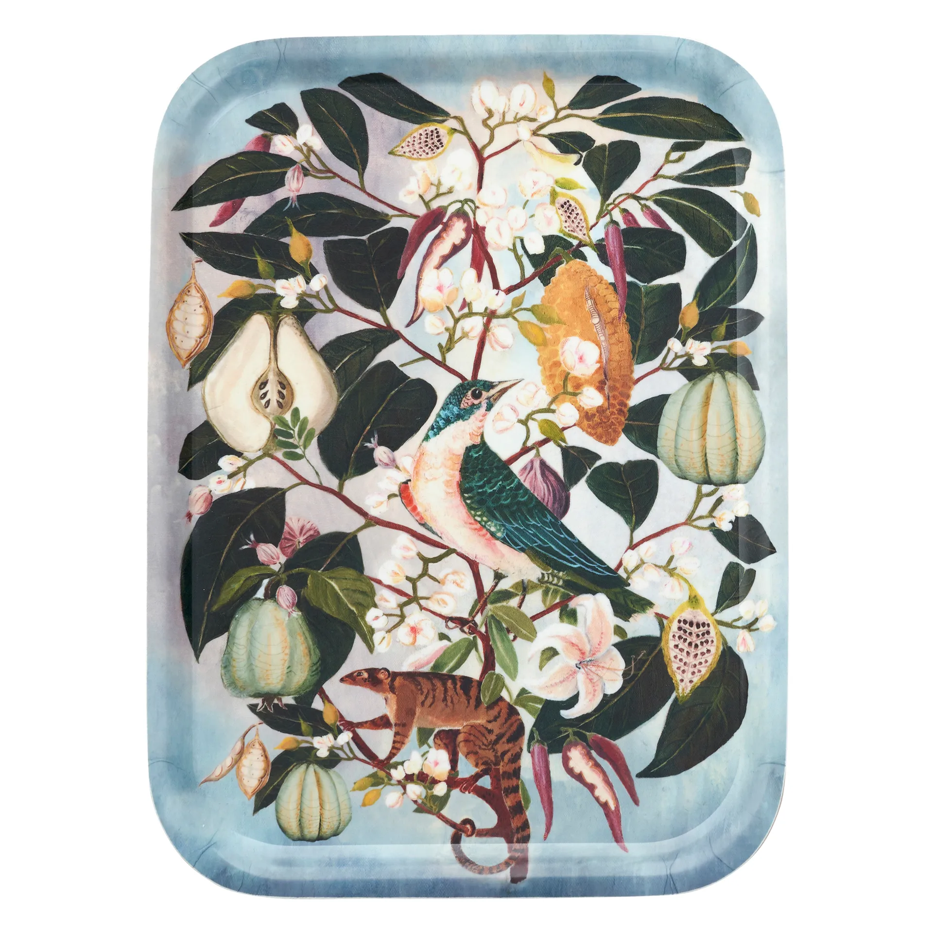 Fruits bricka 20x27 cm, Multi Klippan Yllefabrik