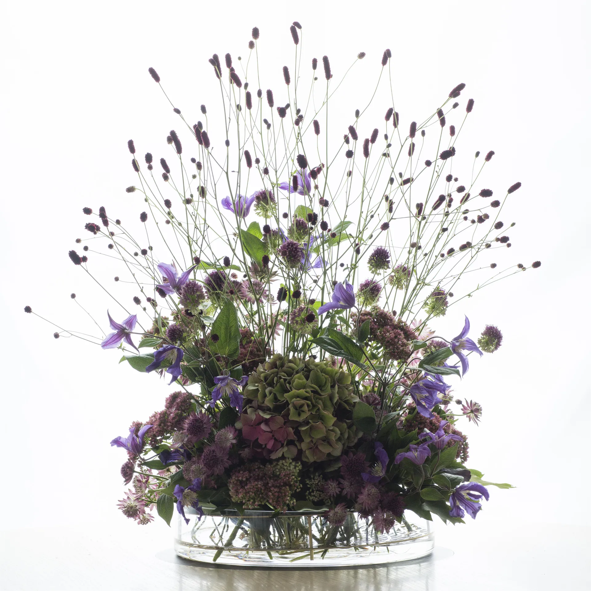 Äng vas, mega, blå KLONG