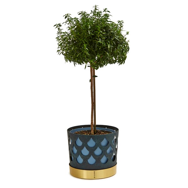 Trio kruka drop, stor Ø28 cm, Blå KLONG