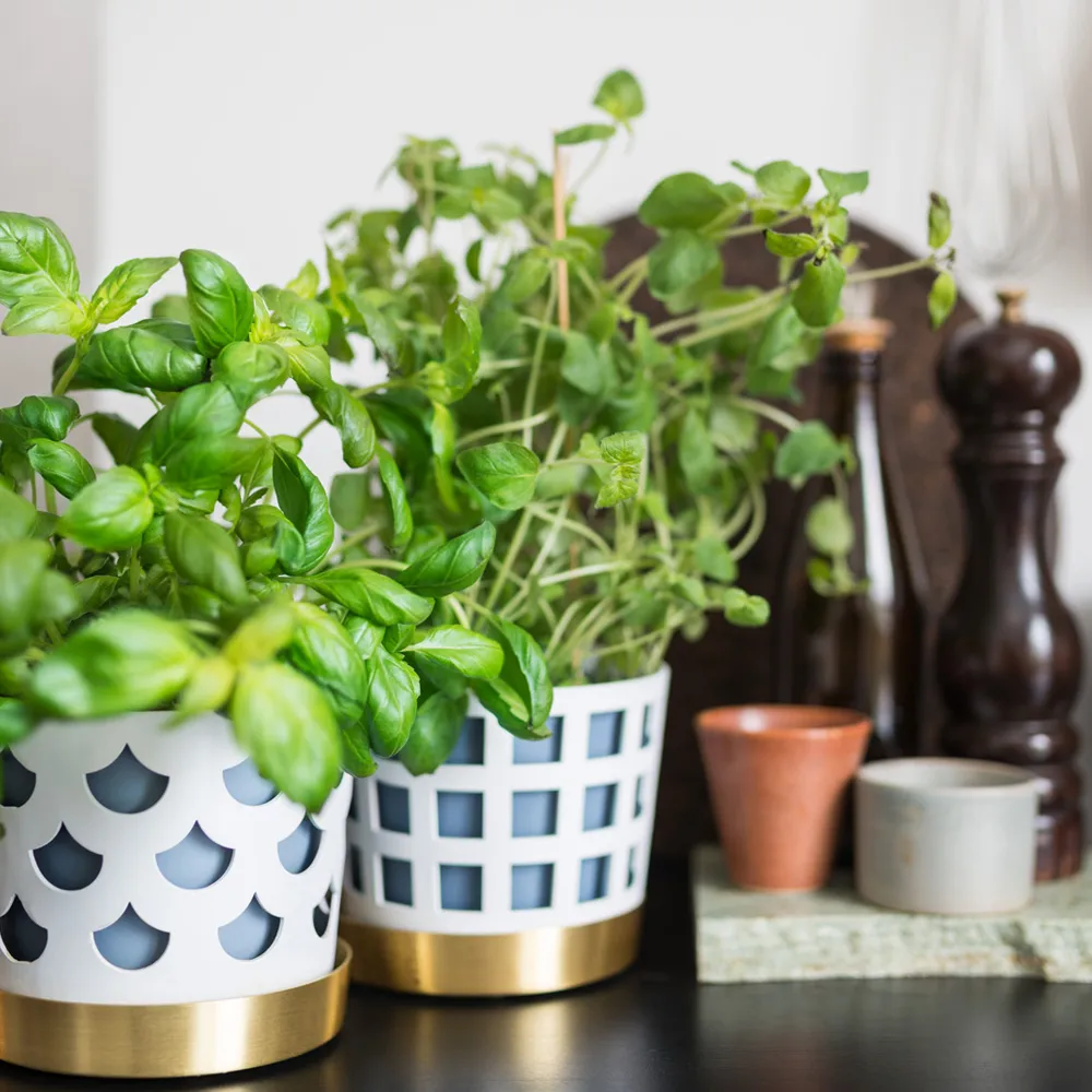 Trio Pot Square Kruka, beige, medium Ø18 cm KLONG