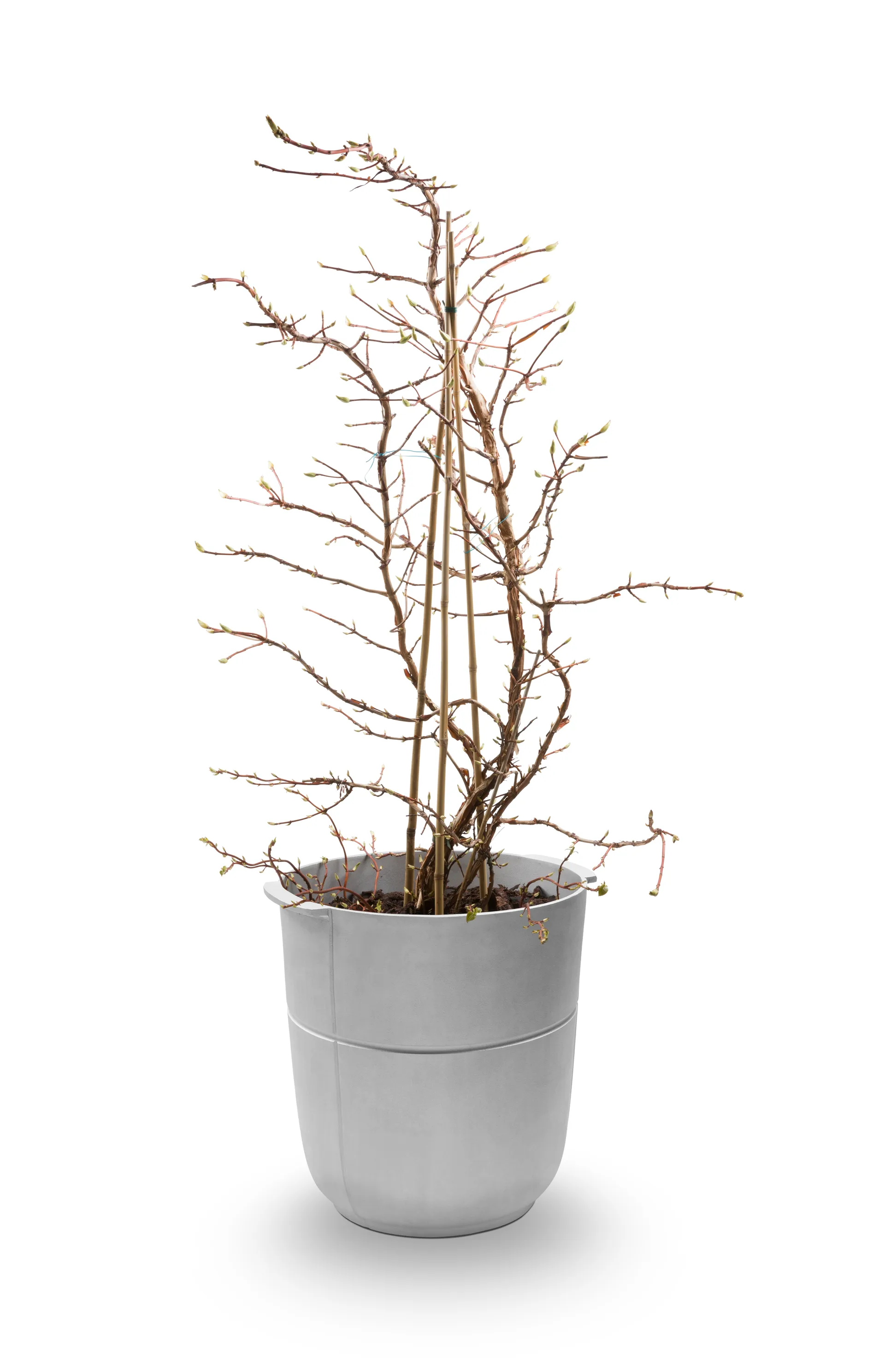 Linea kruka nr 1 hög, Aluminium KORBO