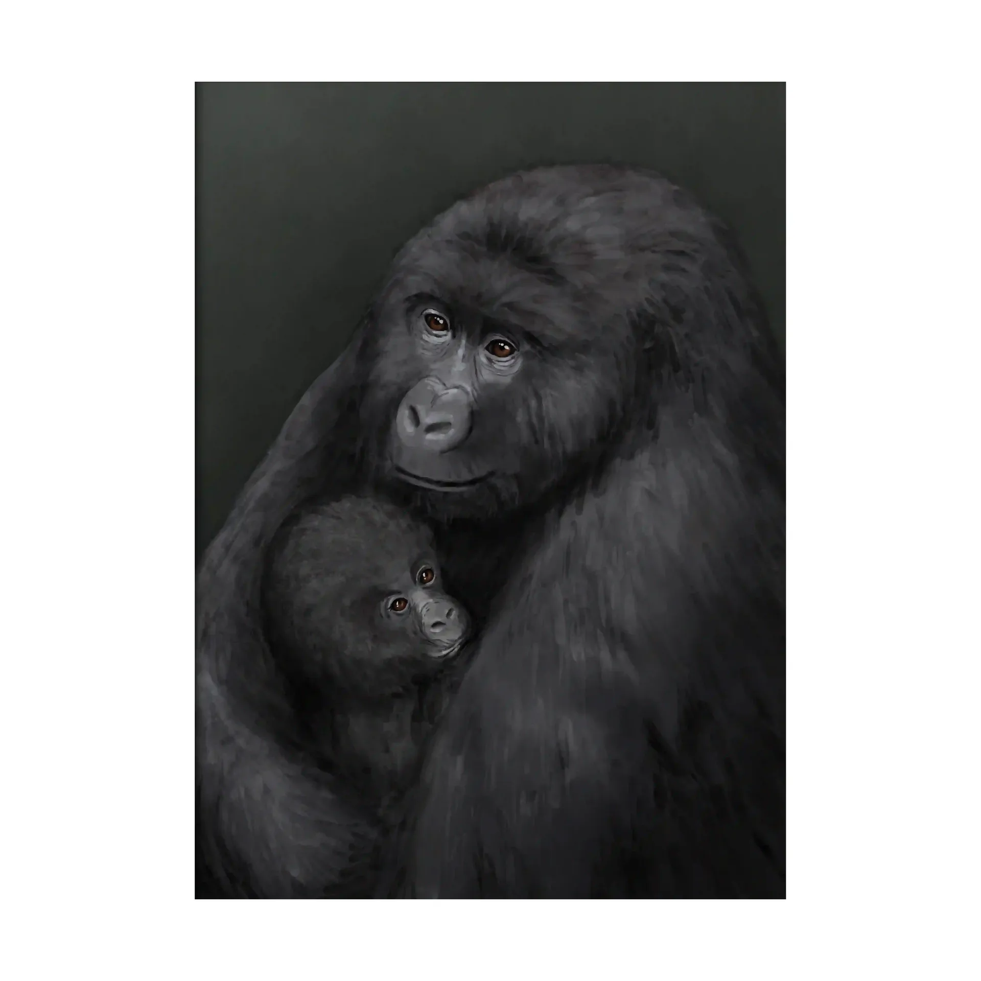 Bergsgorillan poster, 50x70 cm Kunskapstavlan®