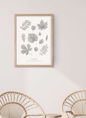 Lövträd blyerts poster - 50x70 cm - Kunskapstavlan®