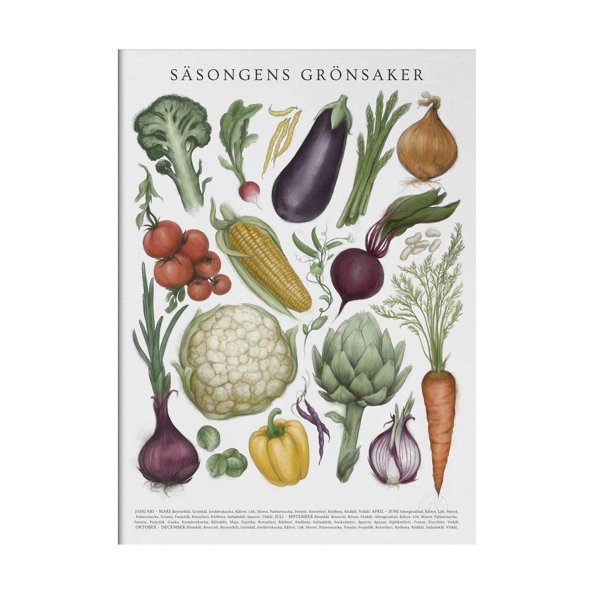 Kunskapstavlan Säsongens Grönsaker poster 30x40 cm