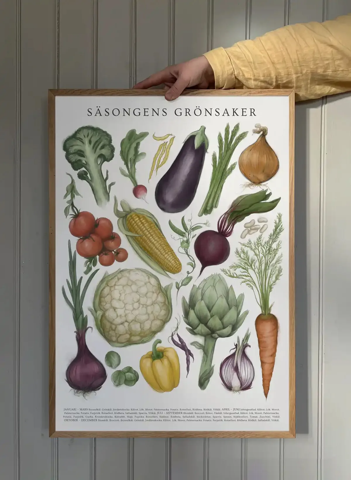 Säsongens Grönsaker poster, 50x70 cm Kunskapstavlan®