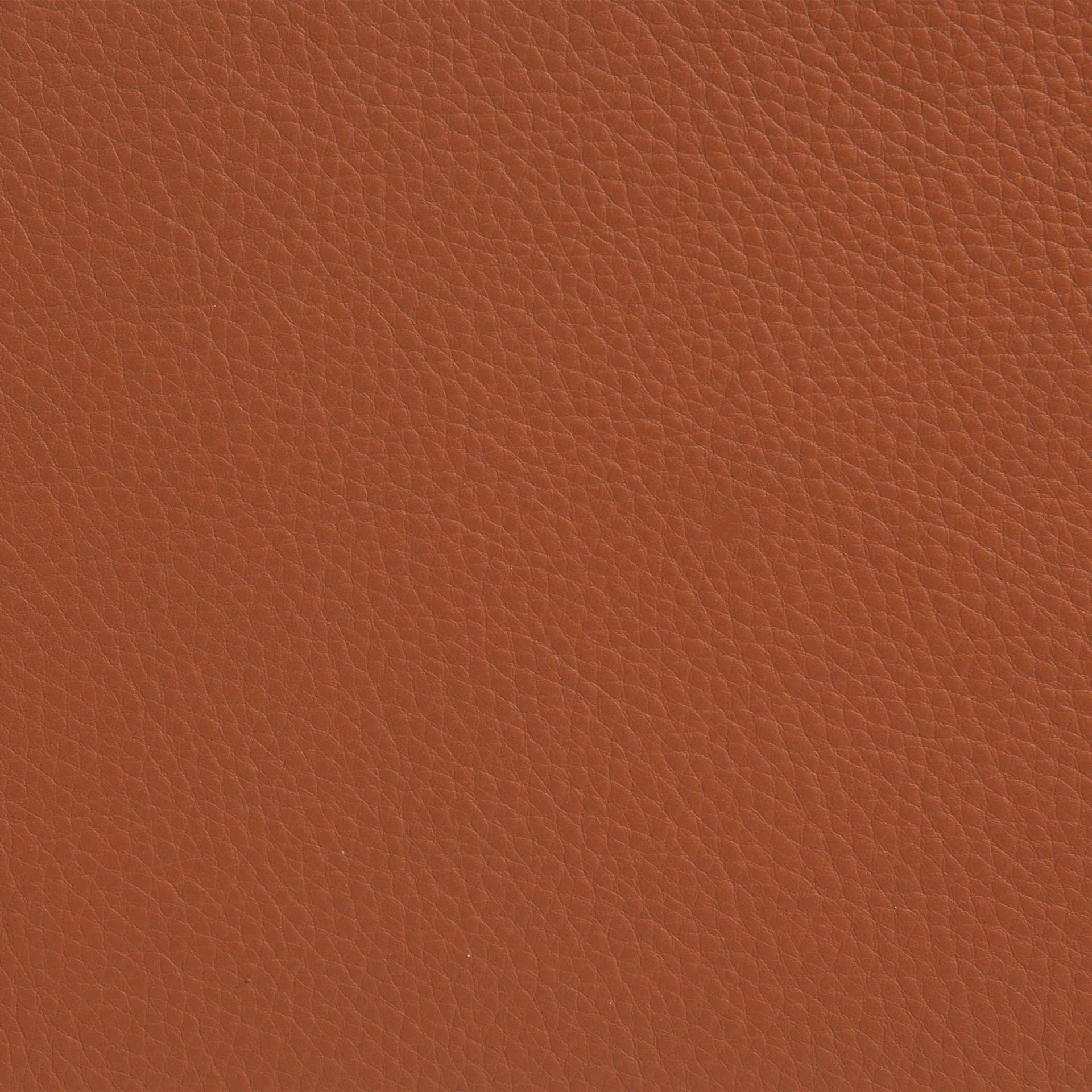 Sunny fåtölj med armstöd, Läder Cognac-kromstativ m. hjul Lammhults