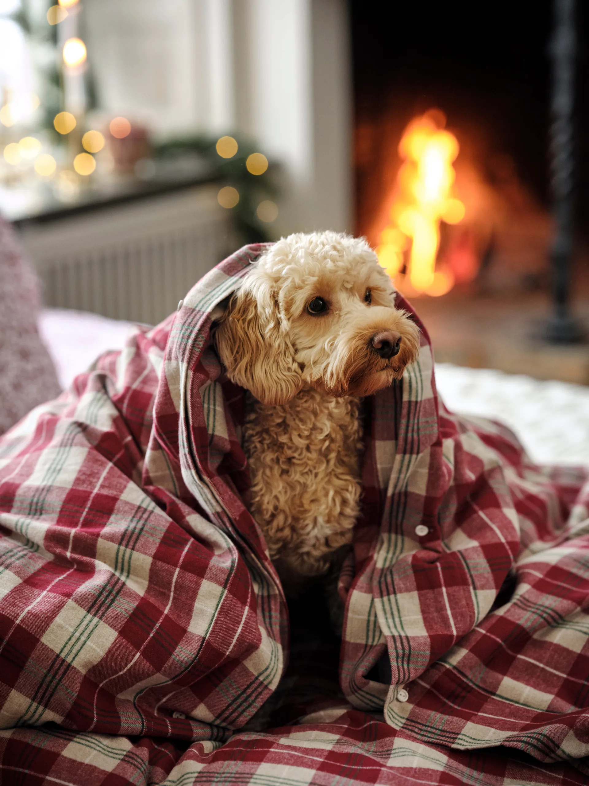 Checked cotton flannel bäddset, Röd-beige-grön-vit Lexington