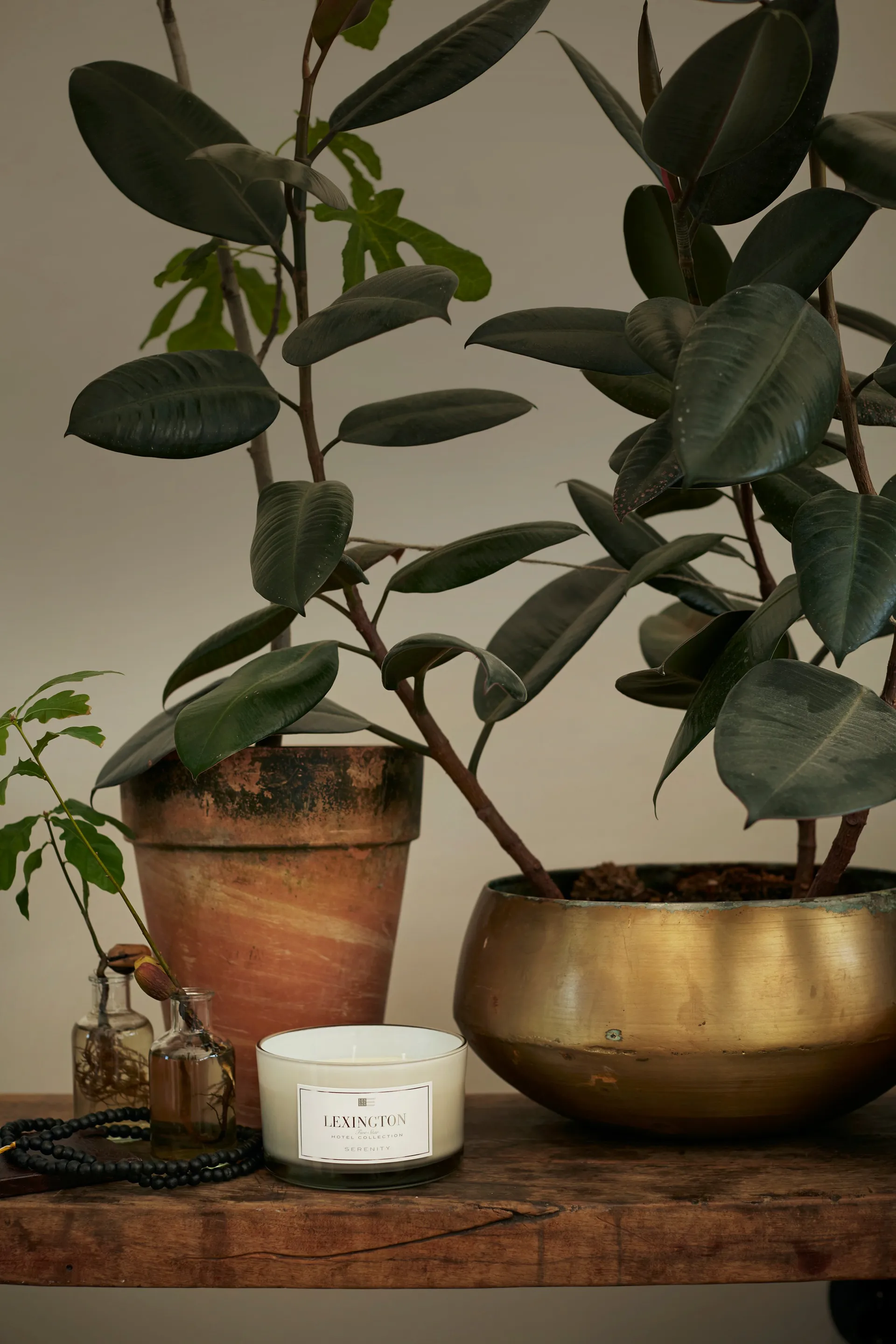 Hotel Serenity doftljus 3 vekar, 30 timmar Lexington