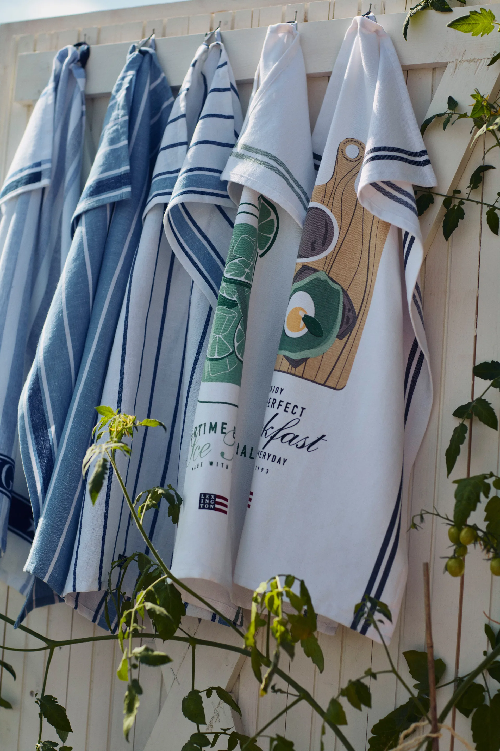 Ice Tea Organic Cotton Twill kökshandduk 50x70 cm, White Lexington