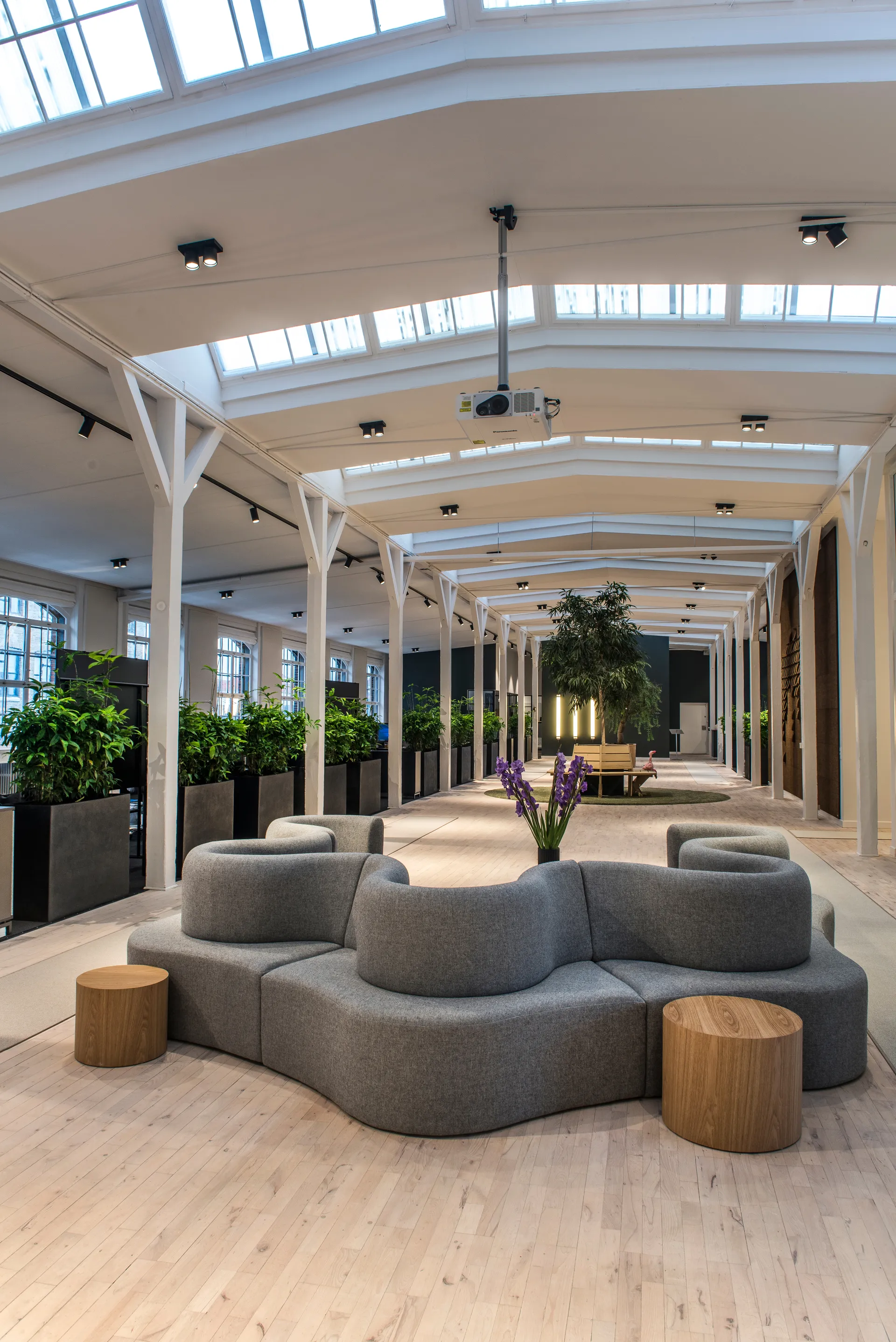 Focus 2 vägg- och taklampa switch tune, Black Light-Point