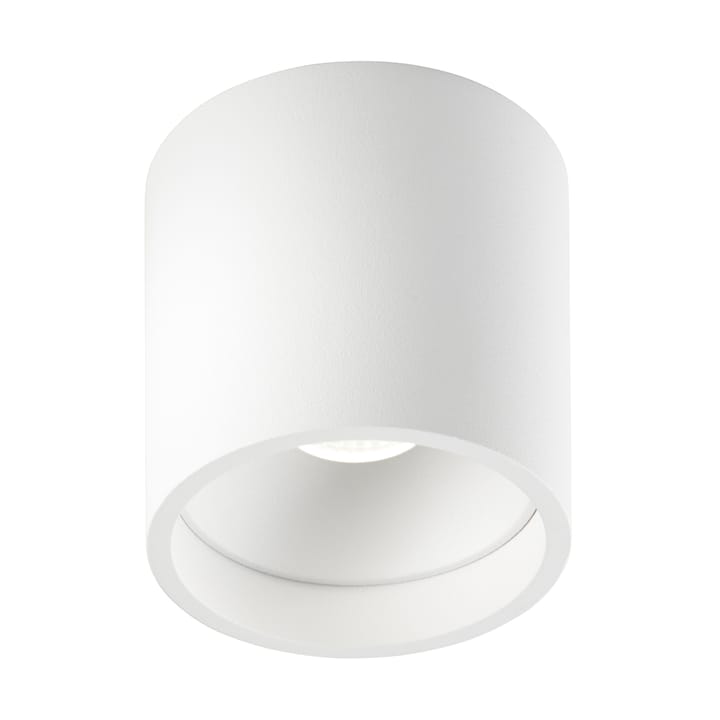 Solo Round 2 spotlight - White - Light-Point