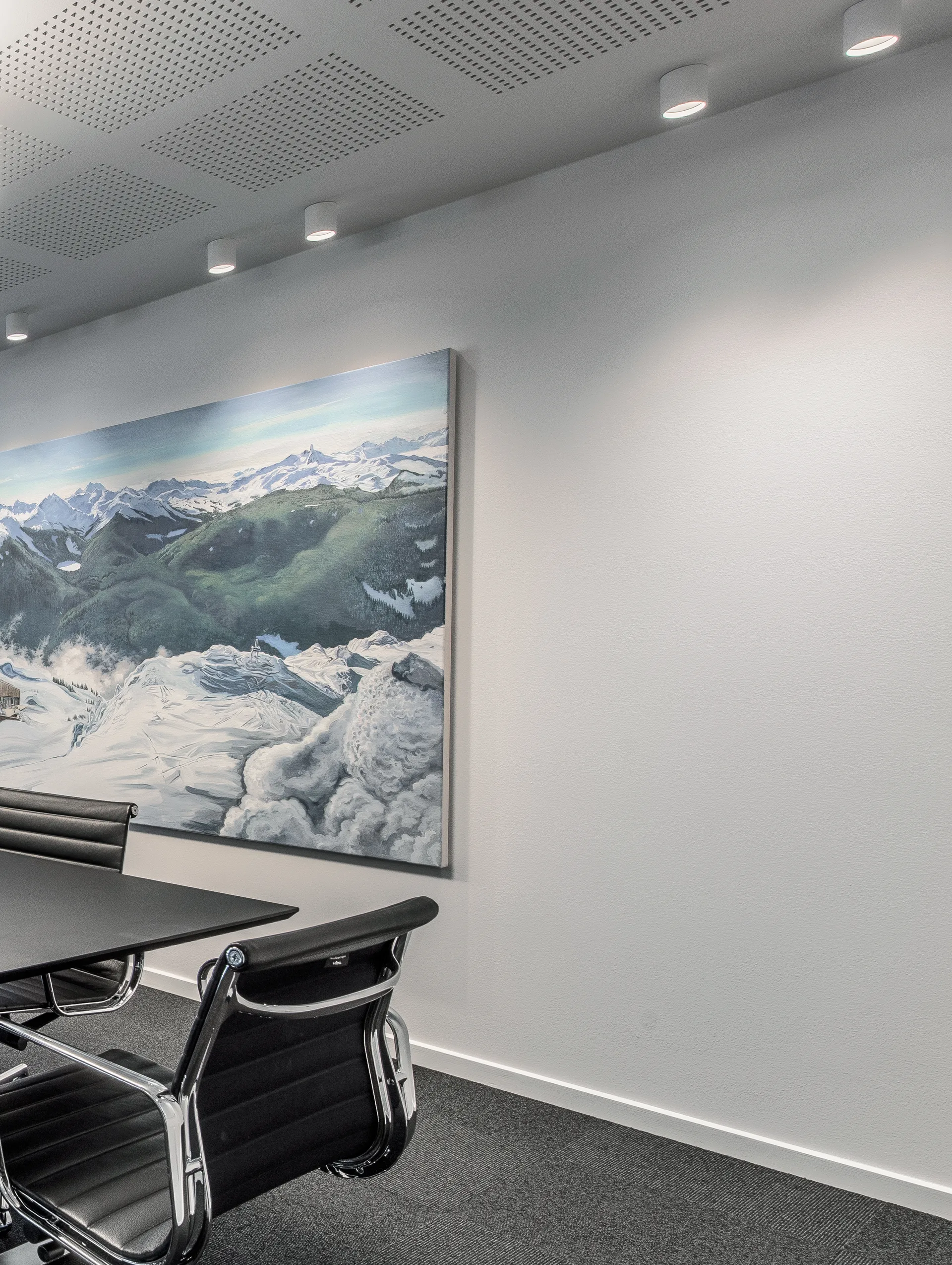 Solo Round 2 spotlight, White Light-Point