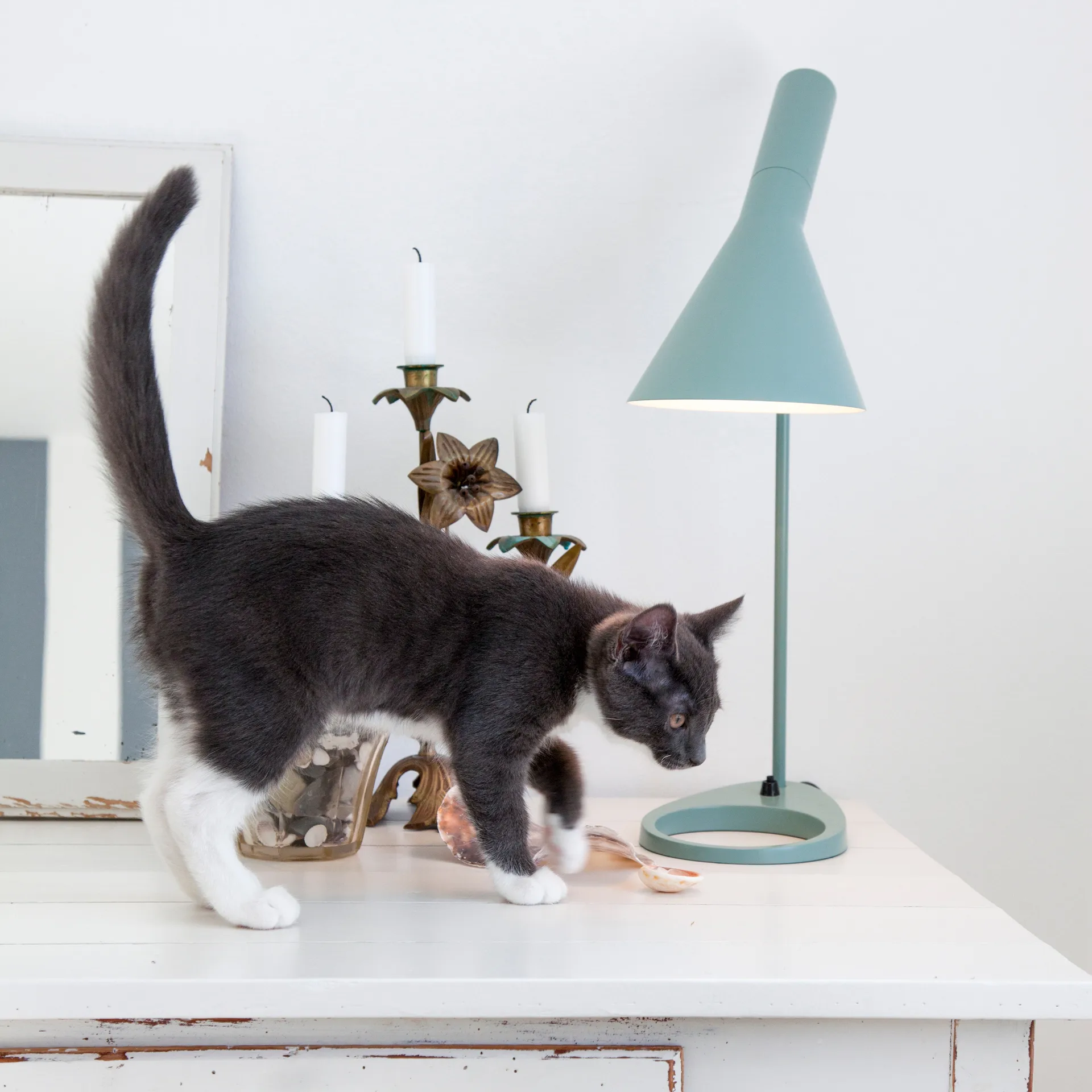 AJ bordslampa, Ljus petroleum Louis Poulsen