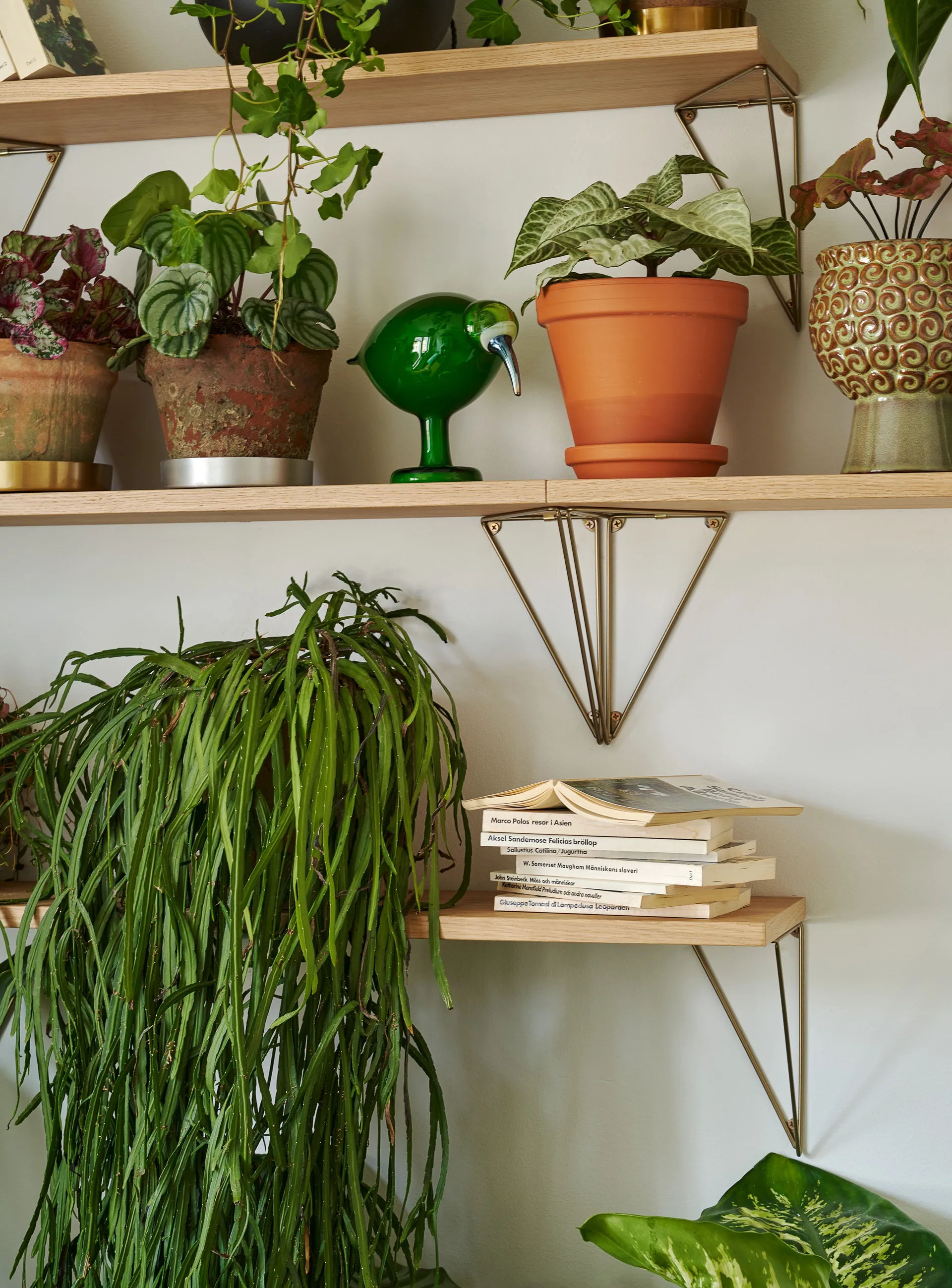 Pythagoras Shelf hyllplan, ek Maze