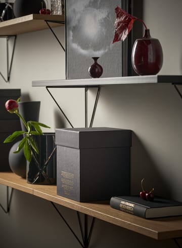 Pythagoras Shelf L hyllplan - ek - Maze
