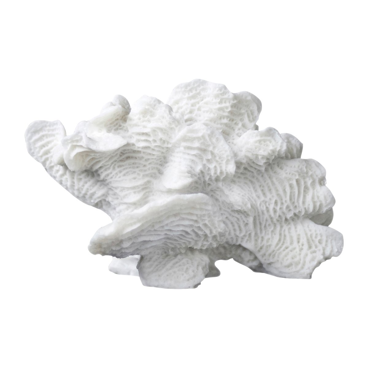 Mette Ditmer Coral fan White | Skandinavisk Design | Skulpturer & Porslinsfigurer | Vit