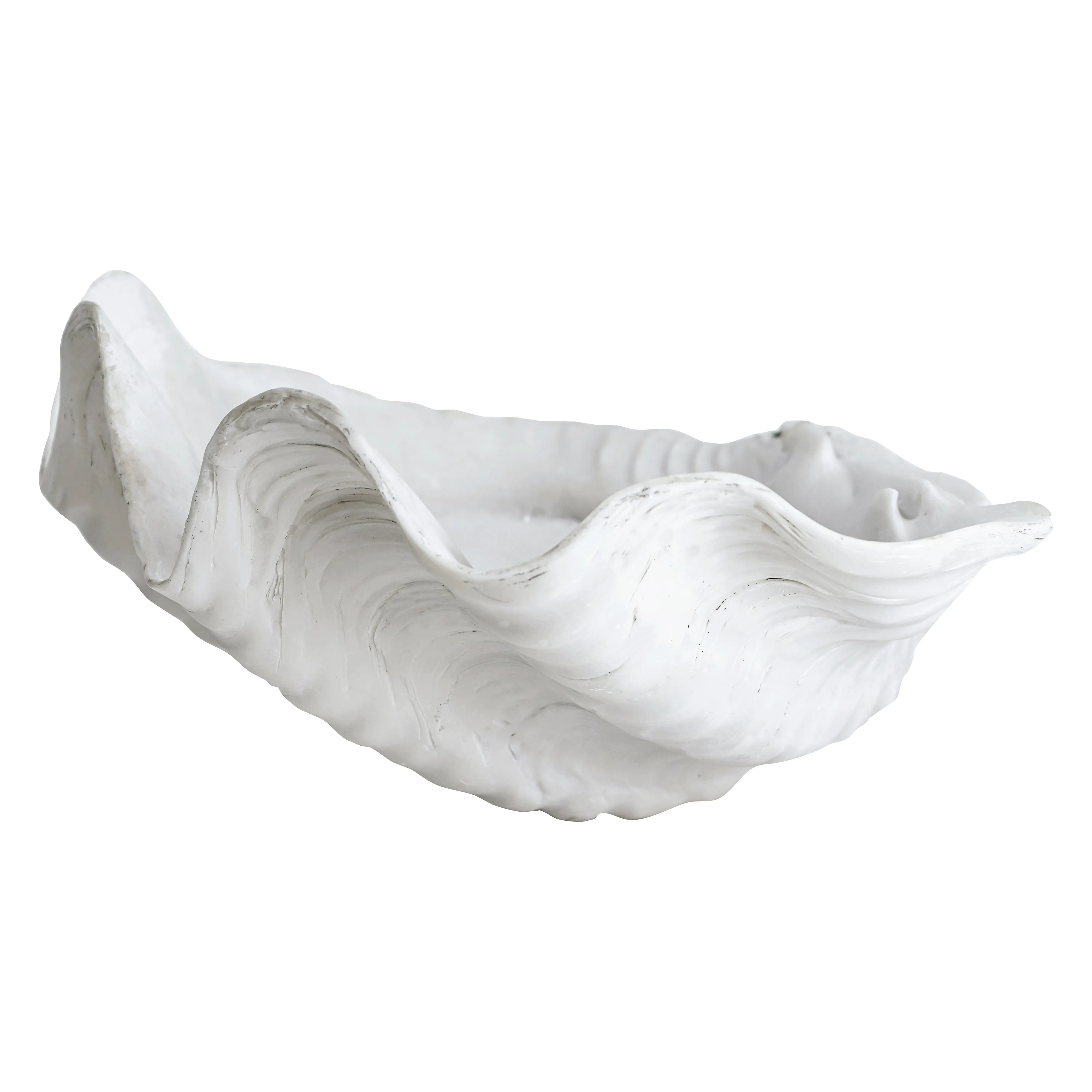 Shell dekoration, Large