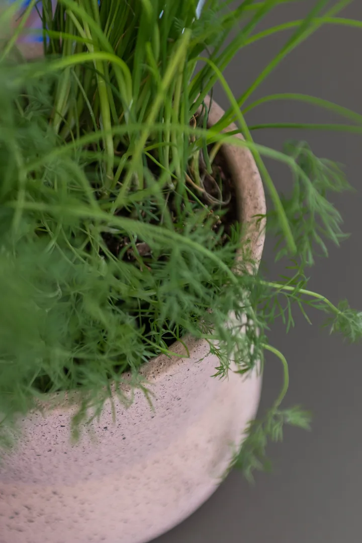 Stone blomkruka Ø17 cm, Blush Mette Ditmer