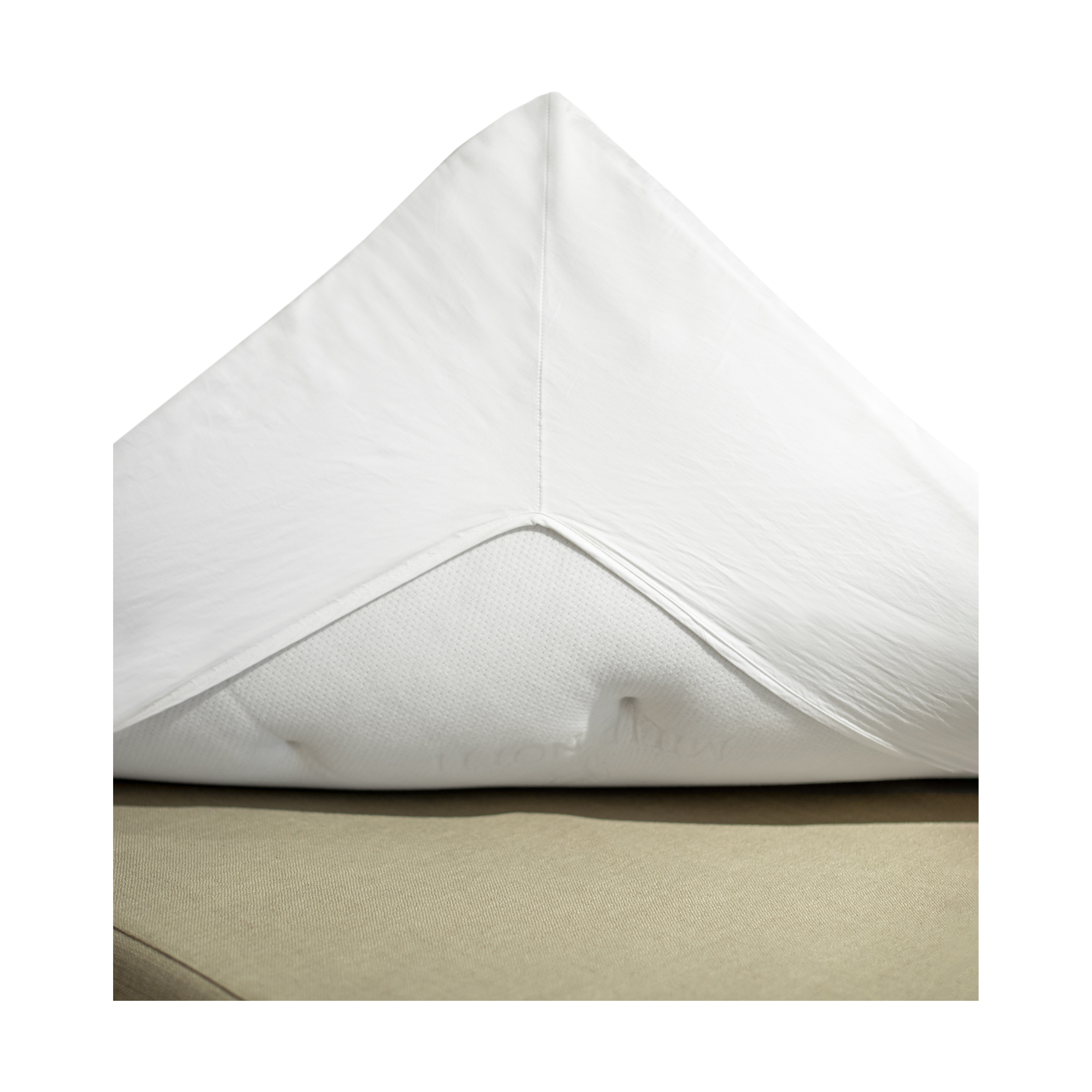 U erini qini bilan silkitadi