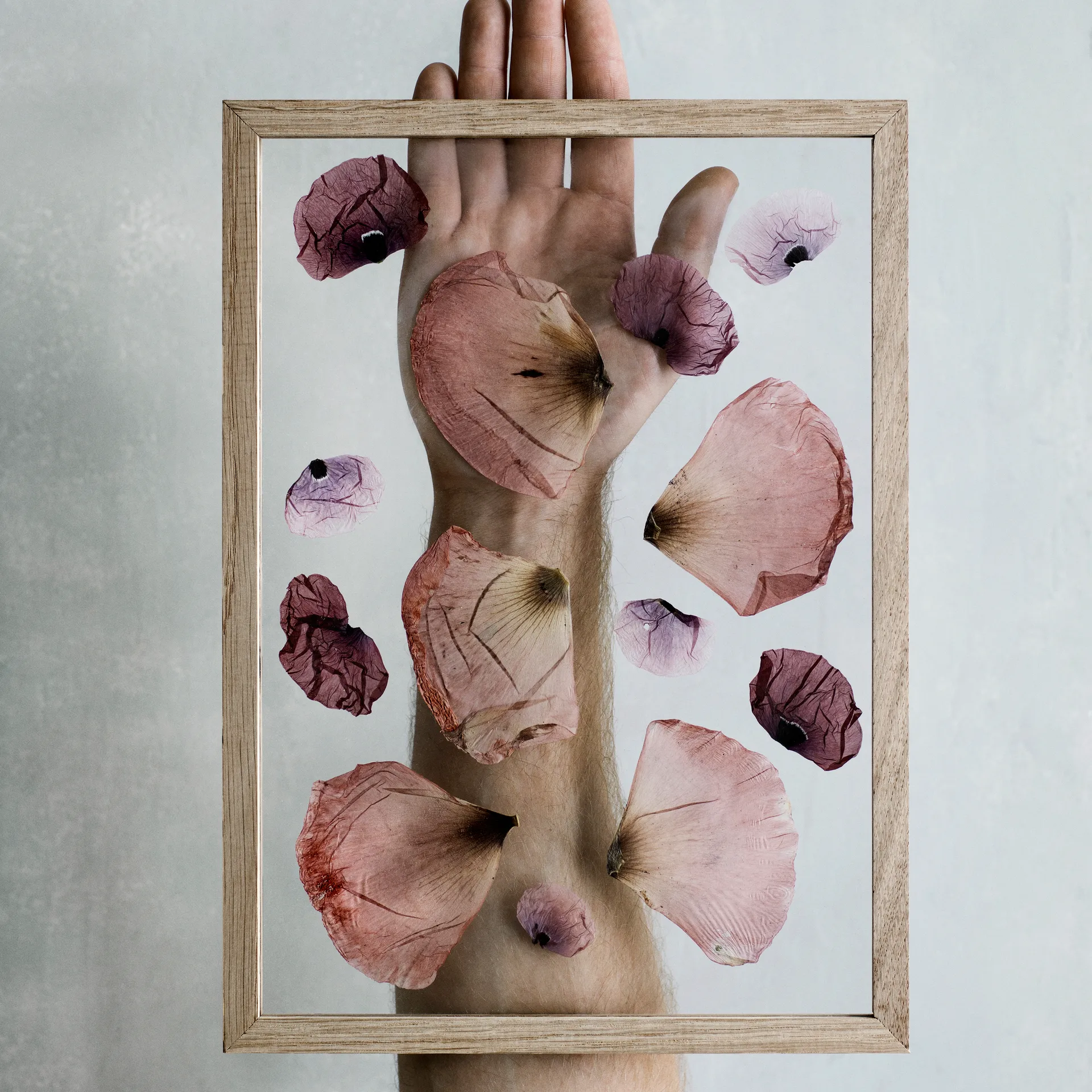 Moebe Frame A4 23x31,7 cm, Ek MOEBE