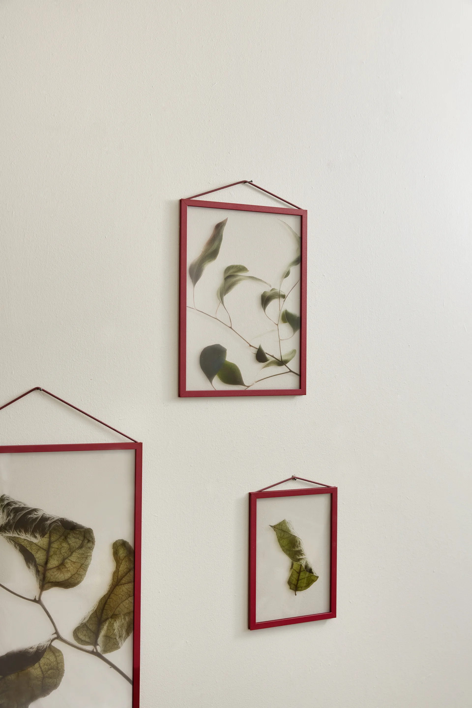 Moebe ram A4 22,6x31,3 cm, Transparent, Red MOEBE