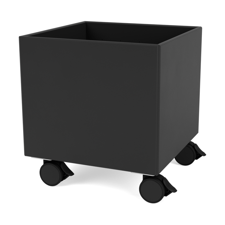Colour Box I – S6161 - Black - Montana