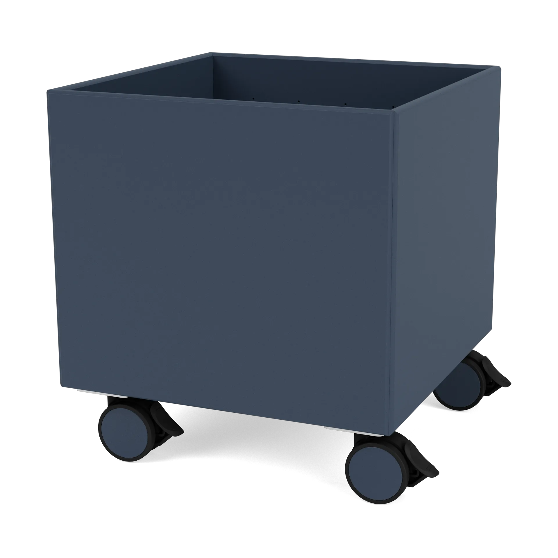 Colour Box I – S6161, Juniper Montana