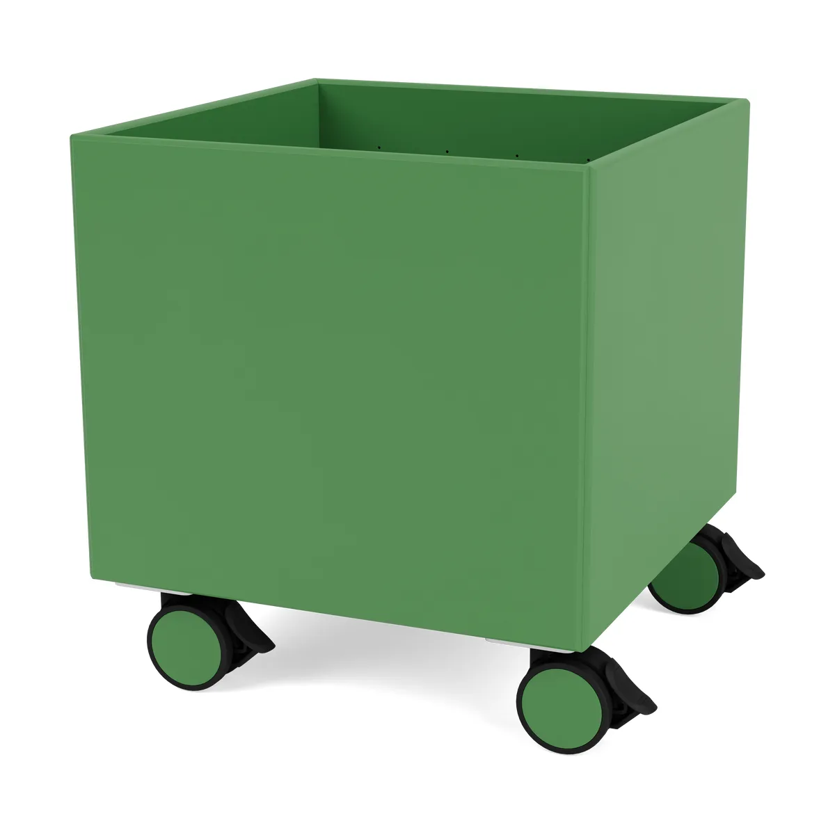 Montana Colour Box I – S6161 Parsley