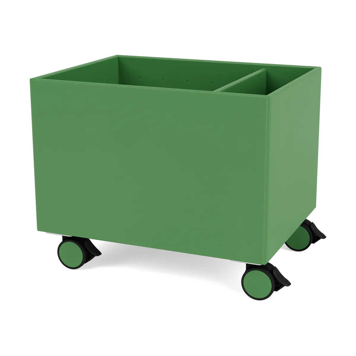 Montana Colour Box II Parsley