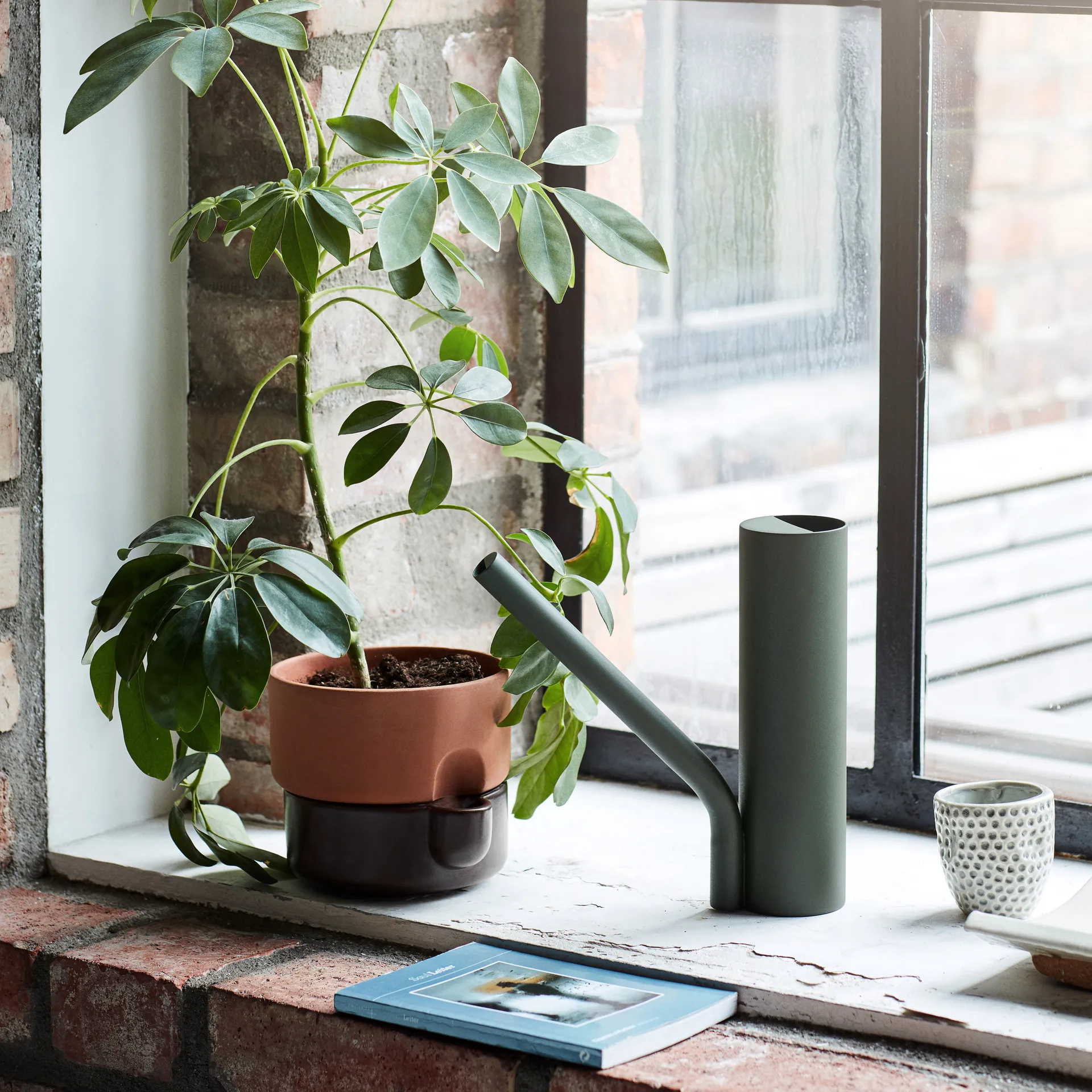 Grab vattenkanna, Grön Northern