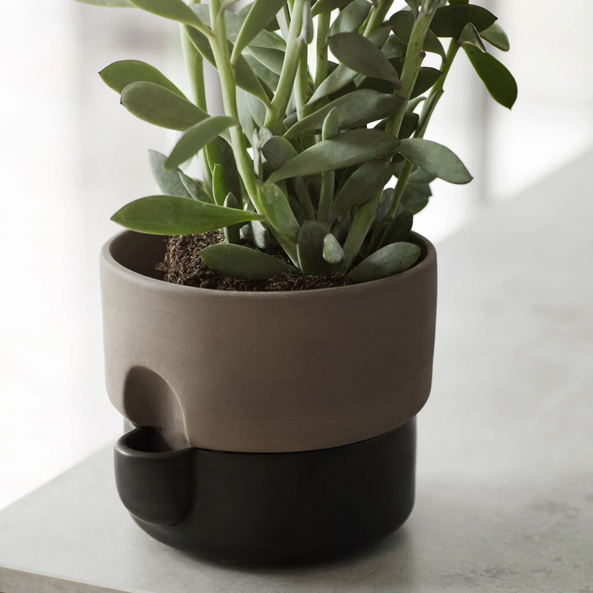 Oasis självvattnande kruka liten Ø15 cm, Svart Northern