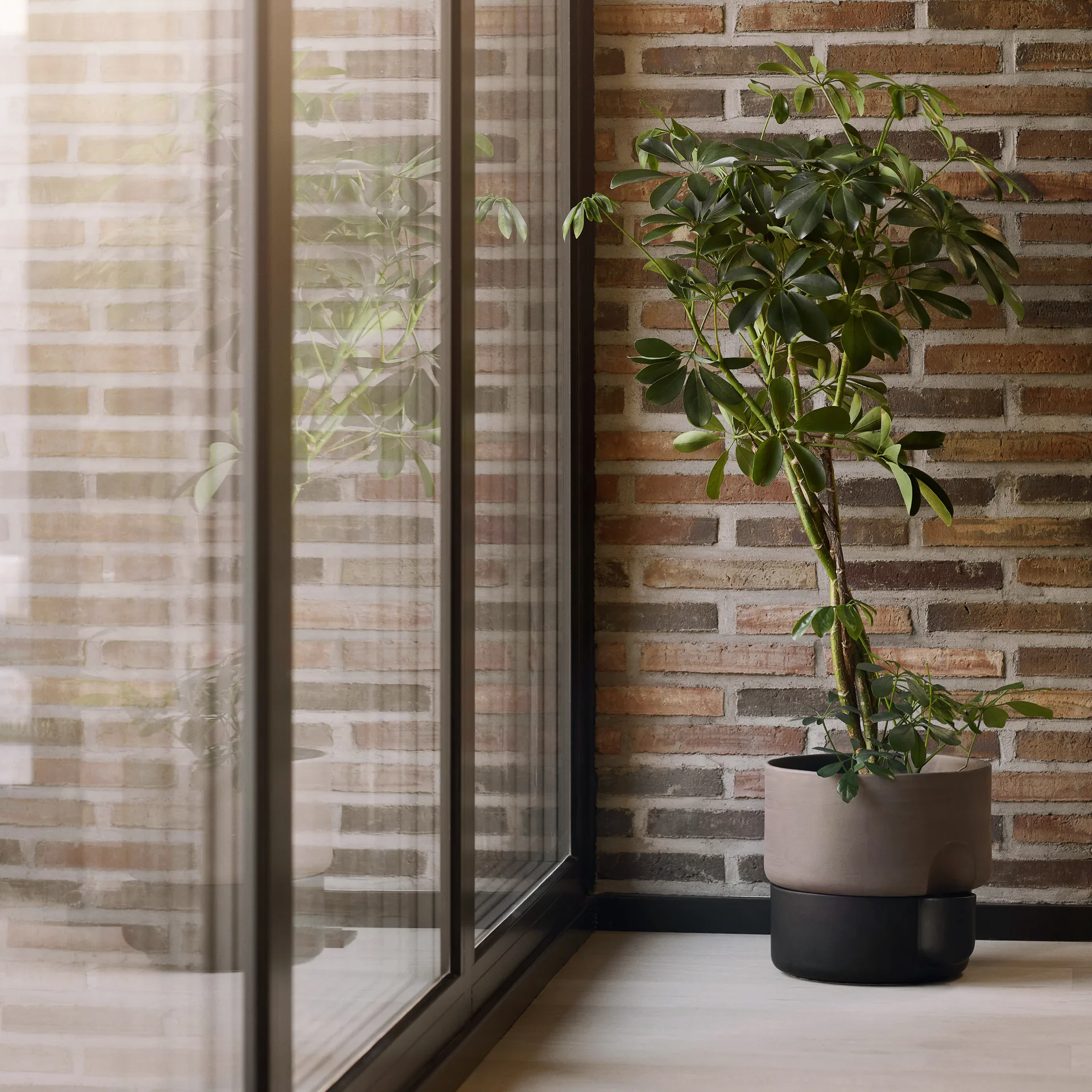 Oasis självvattnande kruka stor Ø27.5 cm, Mörkbrun Northern