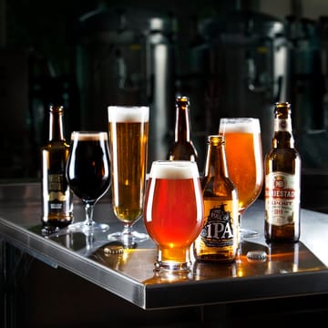 Beer IPA ölglas 4-pack - 47 cl - Orrefors