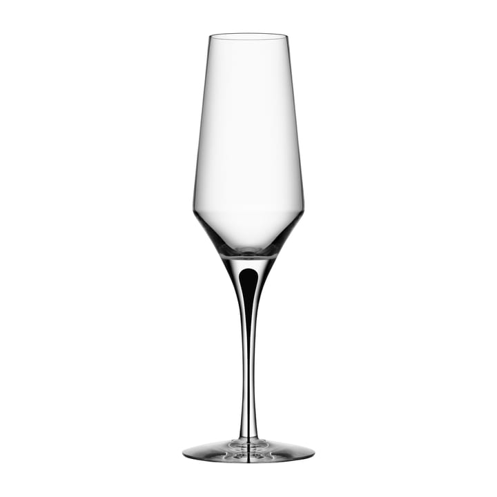 Metropol champagneglas 27 cl - Clear / Black - Orrefors
