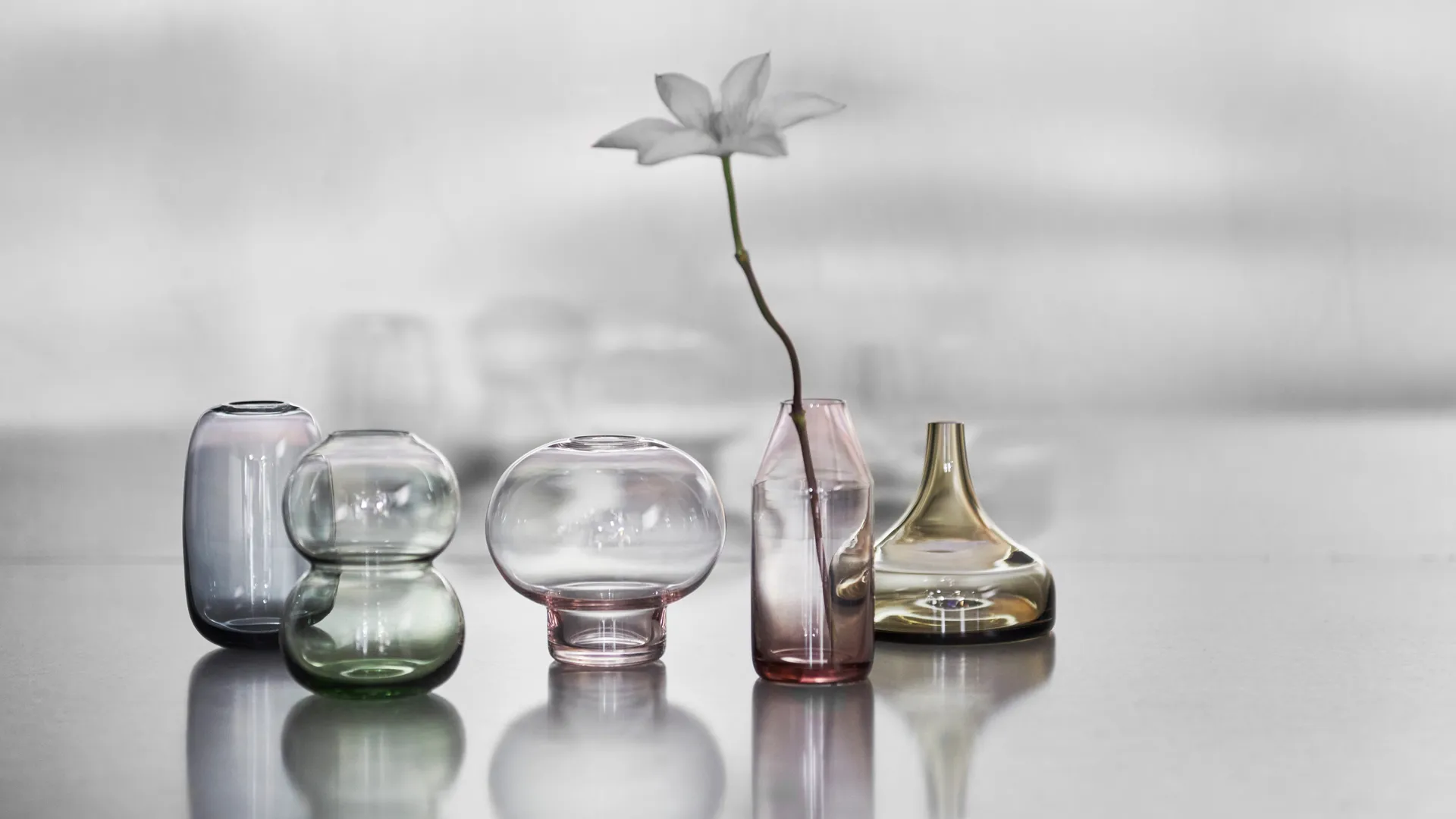 Midsummer minivas Wood Cranesbill, 100 mm Orrefors